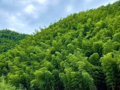 -将军关探险漂流