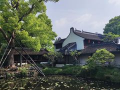 -上海醉白池公园