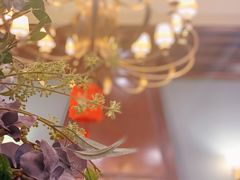 -东海咖啡馆