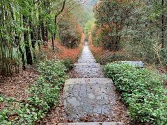 -潜山国家森林公园