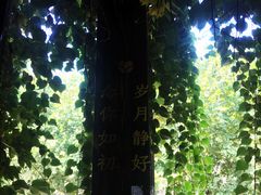 包房-蜜桃花开·中西融合菜E&W(南长街店)