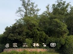 -南京老山国家森林公园