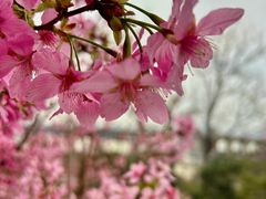 -龟山风景区-龟山电视塔