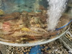-鑫渔港海鲜本地菜·山海关浑锅(东戴河店)