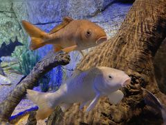 -沈阳海洋探索中心