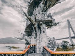 -芒洲湿地公园