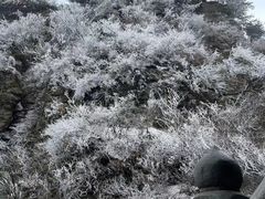 -武当山风景区
