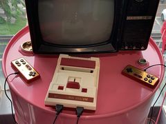 -大岗仙庙烧鸡(海南总店)