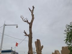 -哈密雅丹大海道景区