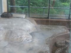 -广东茂名森林公园