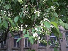 -辽宁大学(崇山校区)