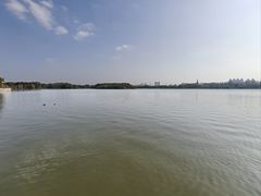 -海珠湖公园
