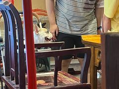 -哥老官重庆美蛙鱼头(宝山龙湖店)