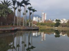 -四海公园(南山区)