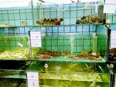 -海岛渔村大酒店(云霄路店)