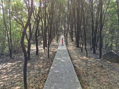 -火炉山森林公园