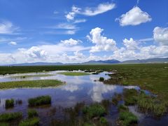 -花湖生态旅游区
