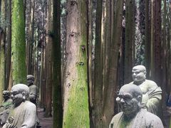 -武陵山森林公园