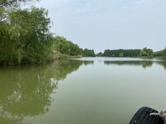 -苏州太湖国家湿地公园