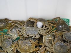 -物美大卖场(玉蜓桥店)