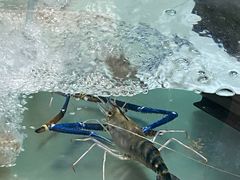 -七星龙虾城·海鲜·大闸蟹(吴江店)
