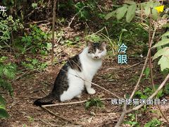 -棋盘山风景区