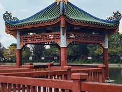 -中山公园