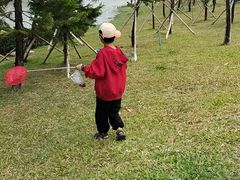 -三亚亚龙湾红树林度假酒店