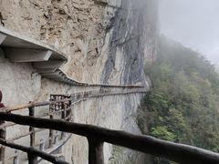 -鹿院坪生态旅游景区
