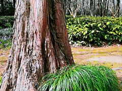 -苏州河梦清园环保主题公园