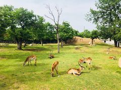 -西安秦岭野生动物园