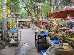 -园林美食城·本土农家菜(杨和镇店)