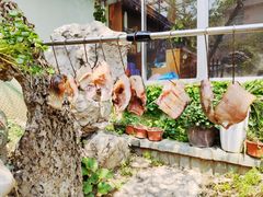 自腌咸鱼-益民农家乐