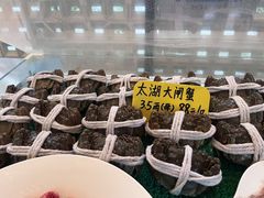 -五棵树•粤西高凉菜(琶洲店)