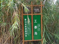 -泗洪洪泽湖湿地景区