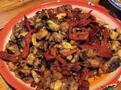 -柴窝堡22号辣子鸡·传承新疆菜