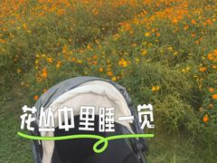 -盈香心动乐园