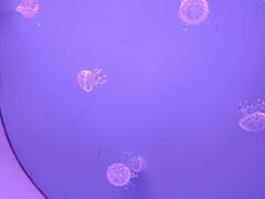 -常州海昌海洋探索馆