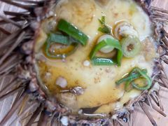 -海胆小馆(东北水饺·春柳店)