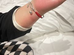 -春兰国宾馆(凤城河风景区老街店)