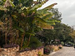 -野蔓果·山野菜(西湖景区·龙井茶田店)