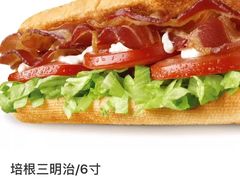 -赛百味SUBWAY(歌斐中心店)
