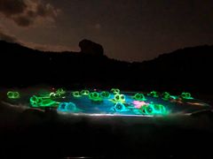 -鼎盛王朝康熙大典实景演出