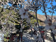 -妙峰山风景名胜区