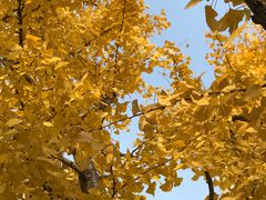 -苏州河梦清园环保主题公园