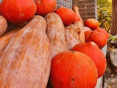 -三忘湖 SWANSEEN(柳荫公园店)