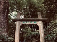 -西泠印社