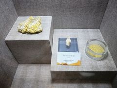 -烟台自然博物馆
