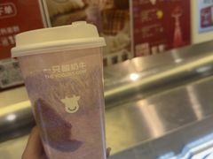 -一只酸奶牛(兰州中心店)