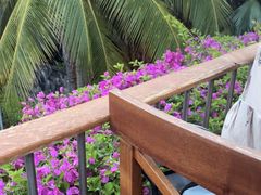 -日落吧·海景咖啡厅·餐酒吧·鸡尾酒·下午茶·乐队表演·浪漫夕阳·三亚文华东方酒店